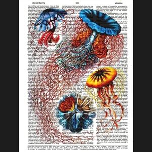 Octopus Nautical Illustration Dictionary Art Print